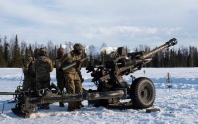 BAE Systems awarded contract to maintain and repair light guns in Ukraine